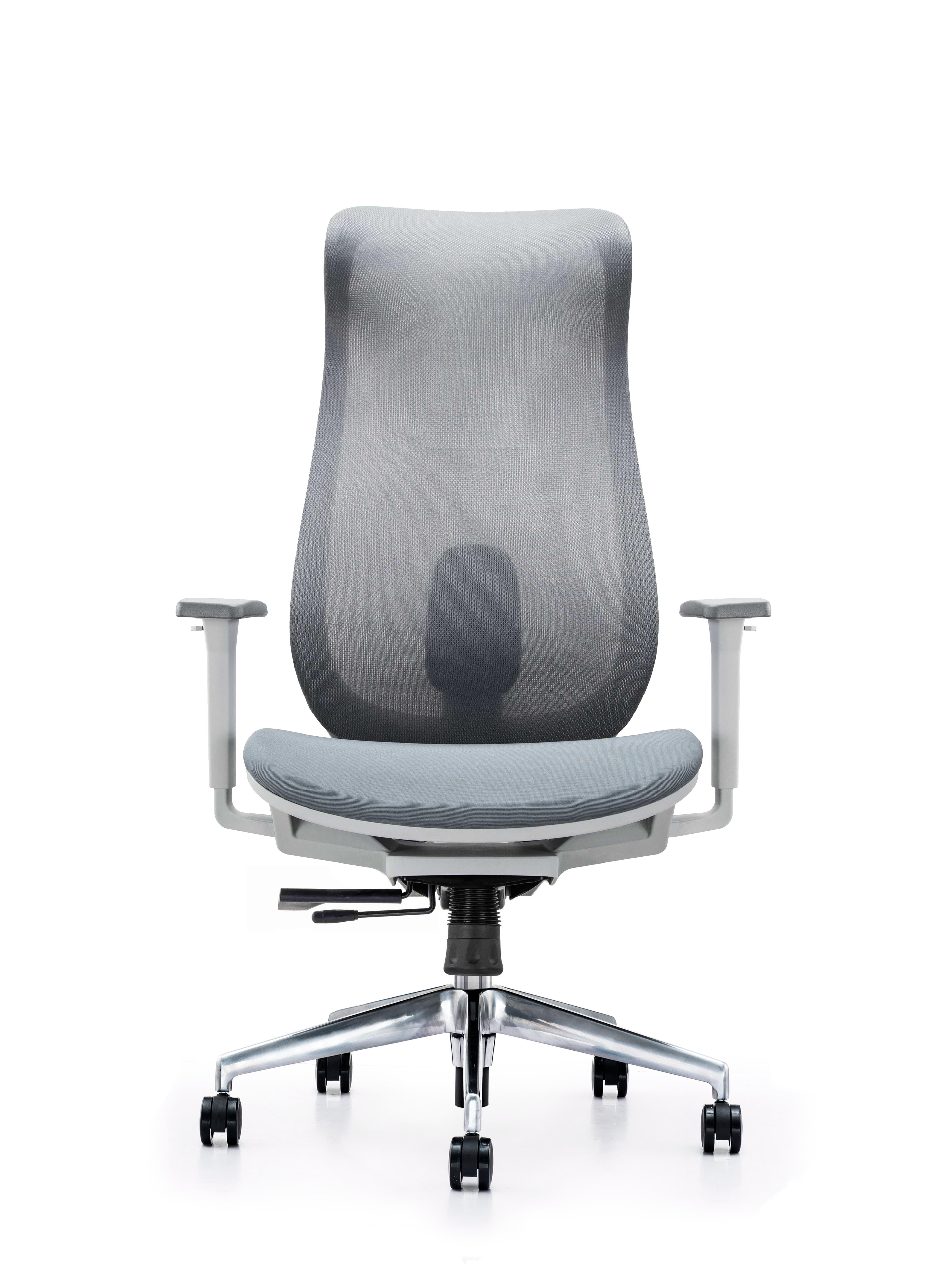 Rosa office chair With Cushion Seat, 3D Armrest And Aluminum diecast base - Grey