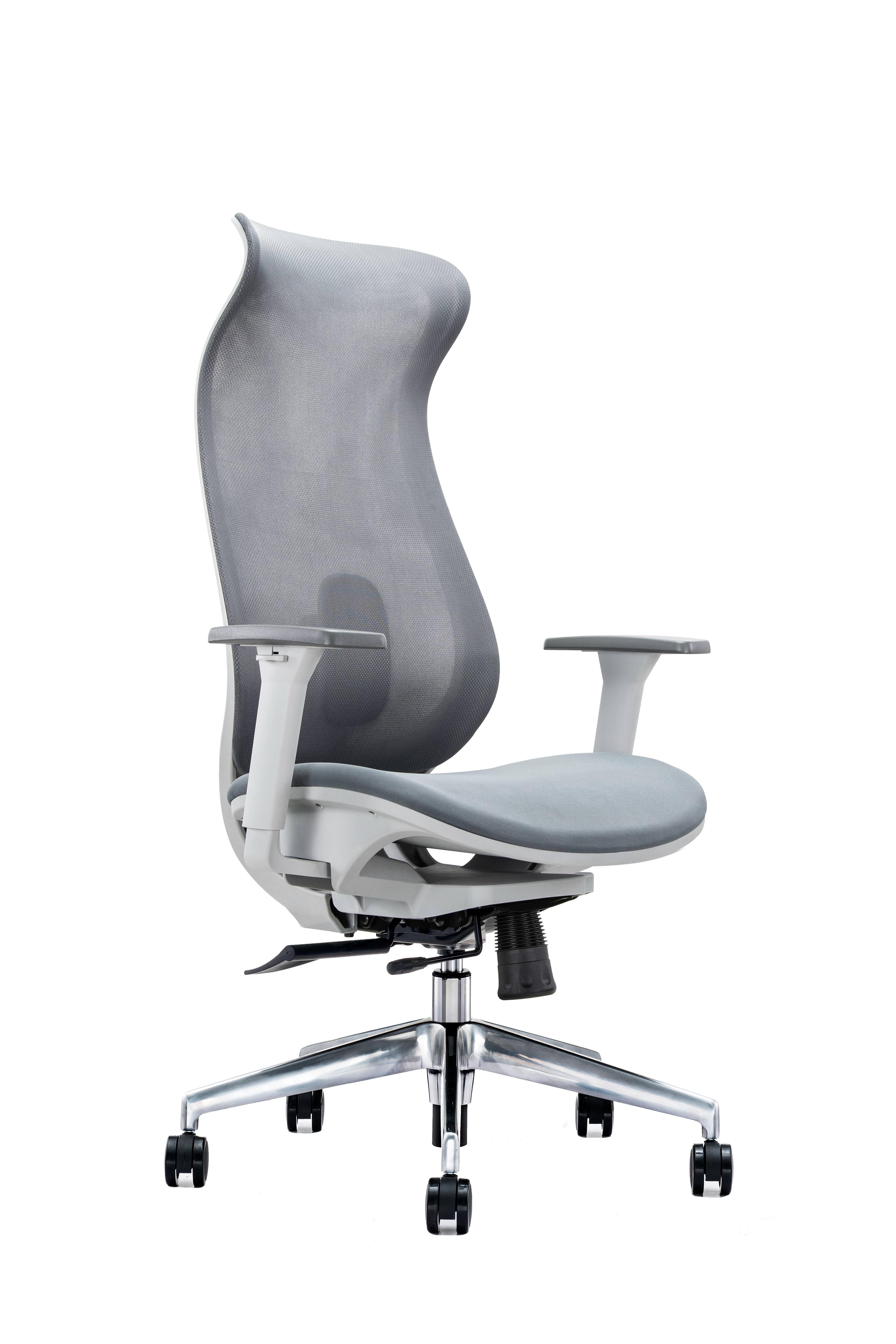 Rosa office chair With Cushion Seat, 3D Armrest And Aluminum diecast base - Grey