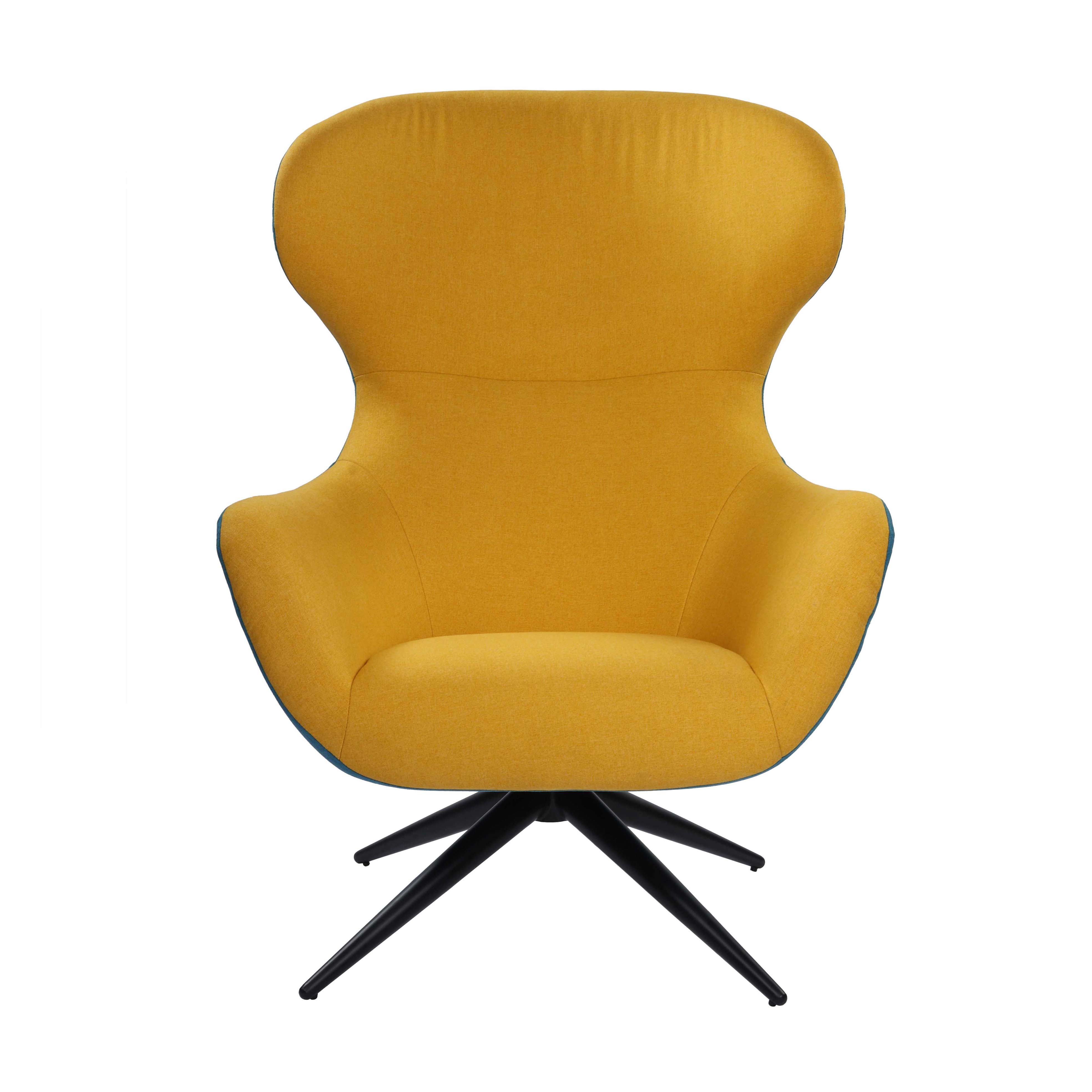 Elegant and Comfy Lounge Chairs