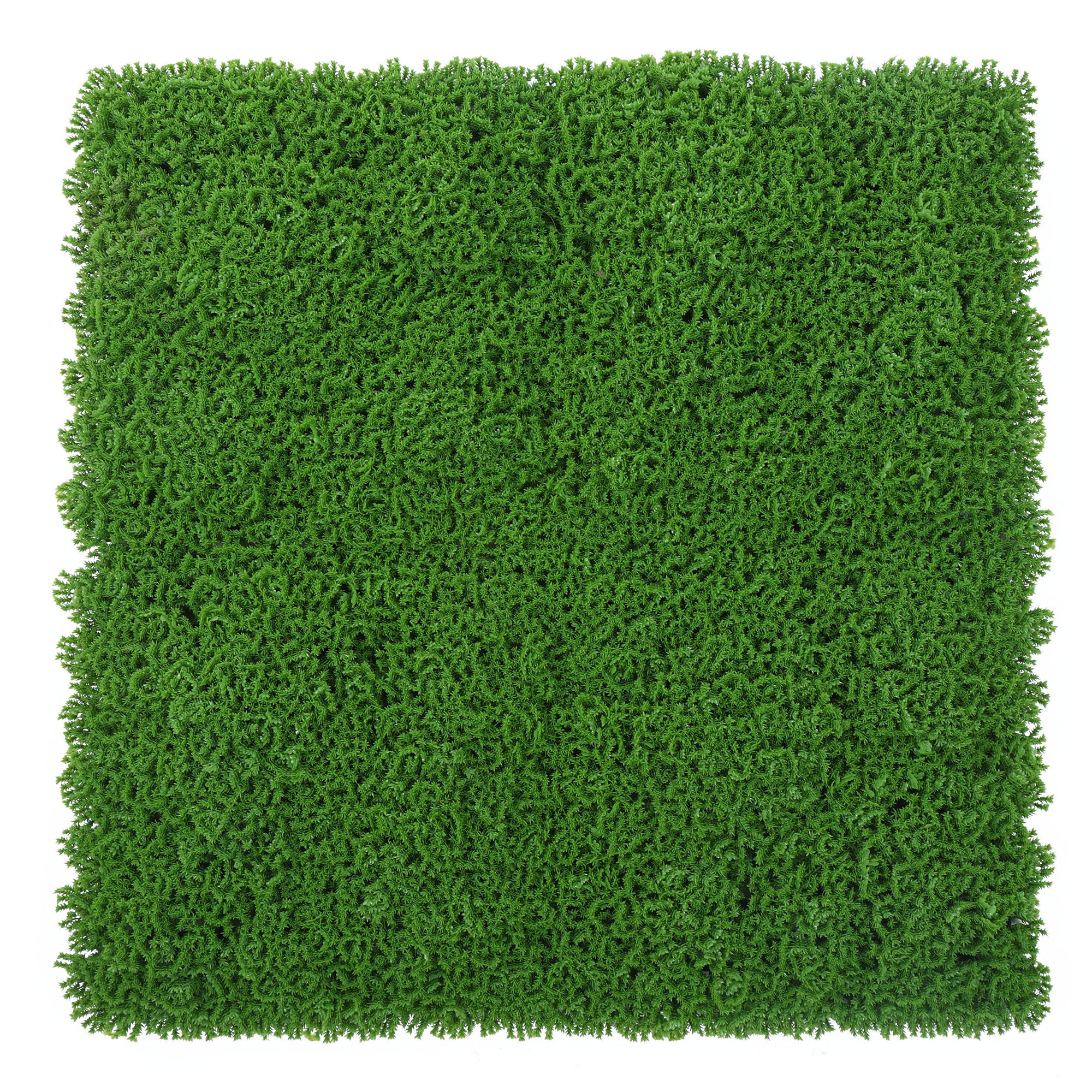 Dense Green Vertical Green Garden Wall Tile (Size: 50cm x 50cm, Pack of 1)