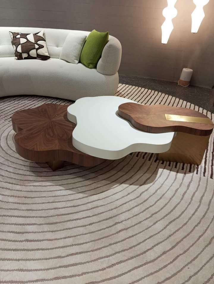 MISHKA Coffee Table, Modern Nesting Center Table or Tea Table, Look for Living Room or Apartments (Multicolour)