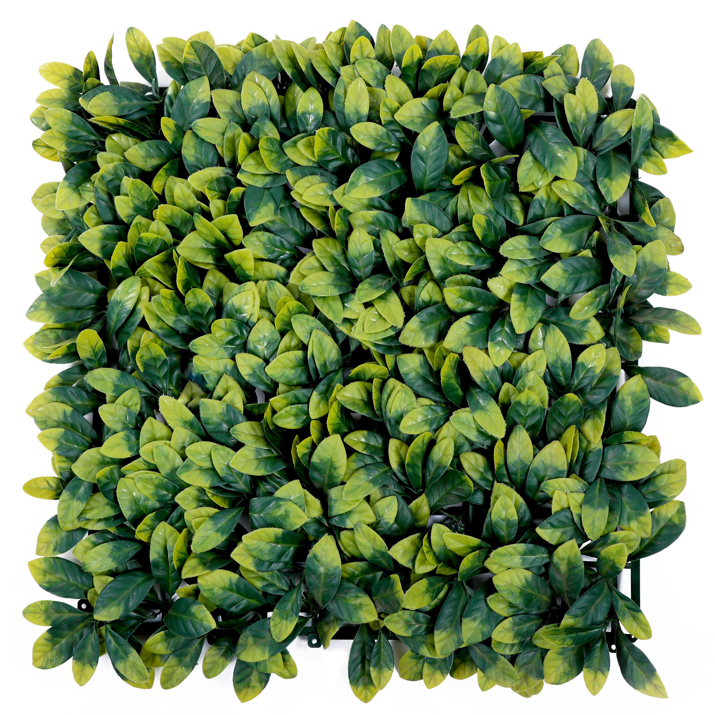Twin Shade Lush Green Leaves Artificial Vertical Garden Wall Tile (Size: 50cm x 50cm, Pack of 1)