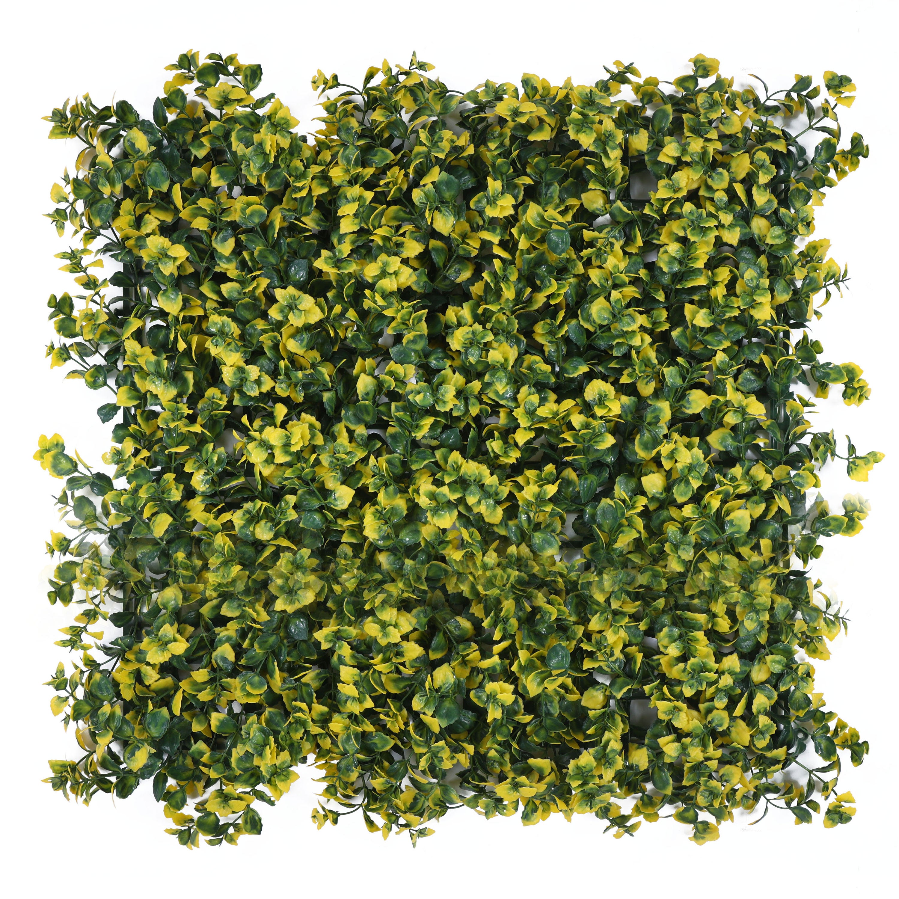 Yellow and Green Mix Shade Leaves Vertical Garden Wall Tile (Size: 50cm x 50cm, Pack of 1)